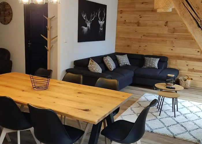 Appt Centre Gerardmer